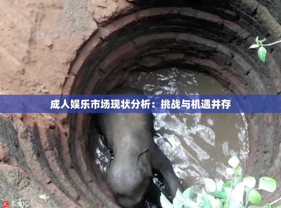 成人娱乐市场现状分析：挑战与机遇并存