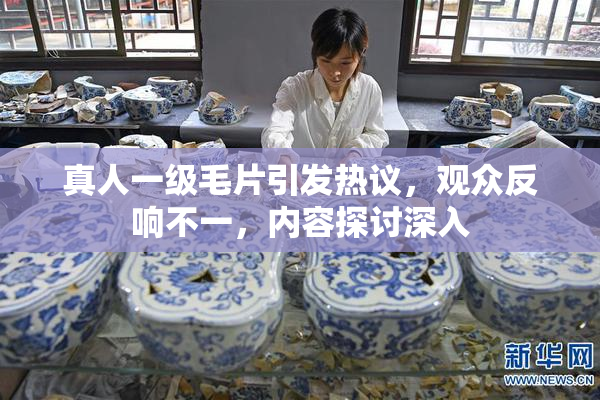 真人一级毛片引发热议，观众反响不一，内容探讨深入