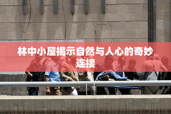 林中小屋揭示自然与人心的奇妙连接