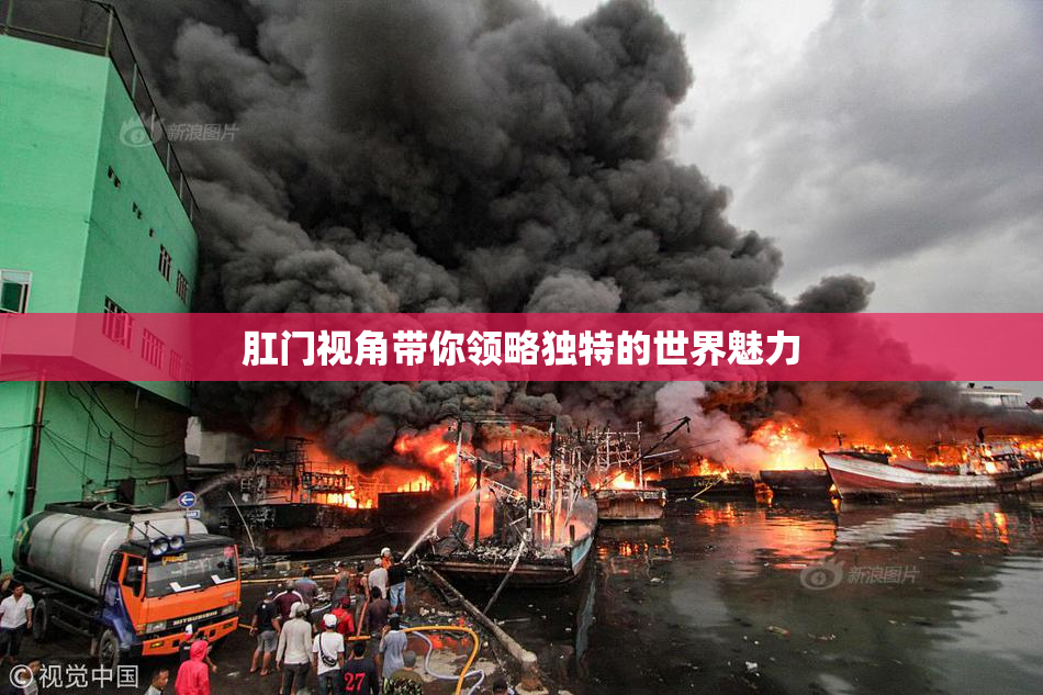 肛门视角带你领略独特的世界魅力