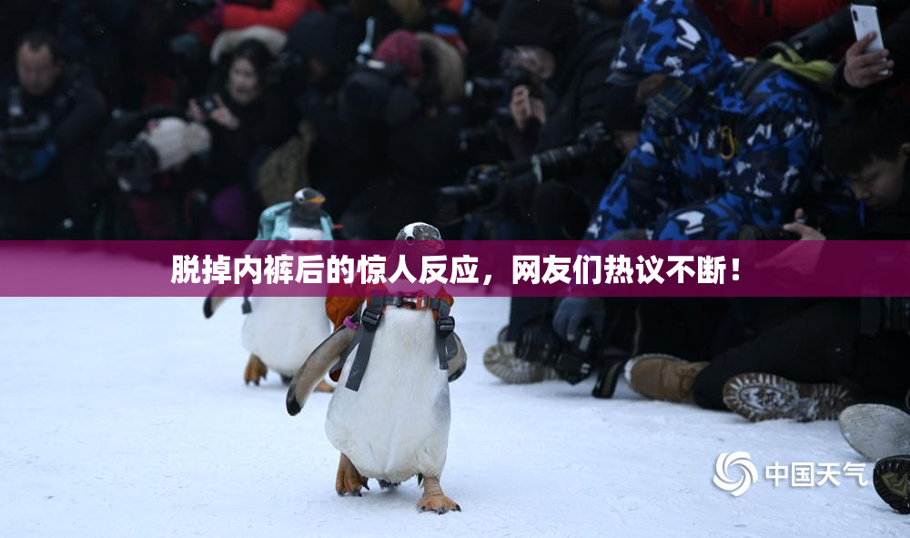 脱掉内裤后的惊人反应，网友们热议不断！