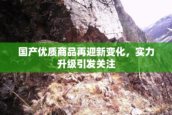 国产优质商品再迎新变化，实力升级引发关注