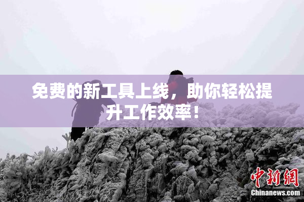 免费的新工具上线，助你轻松提升工作效率！