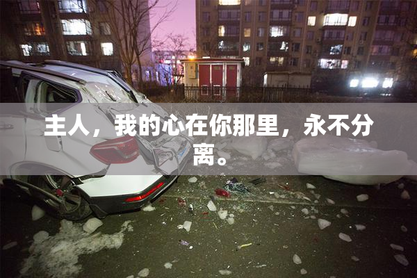 主人，我的心在你那里，永不分离。