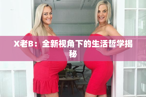 X老B：全新视角下的生活哲学揭秘