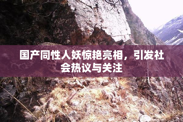 国产同性人妖惊艳亮相，引发社会热议与关注