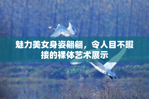 魅力美女身姿翩翩，令人目不暇接的裸体艺术展示