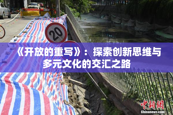 《开放的重写》：探索创新思维与多元文化的交汇之路