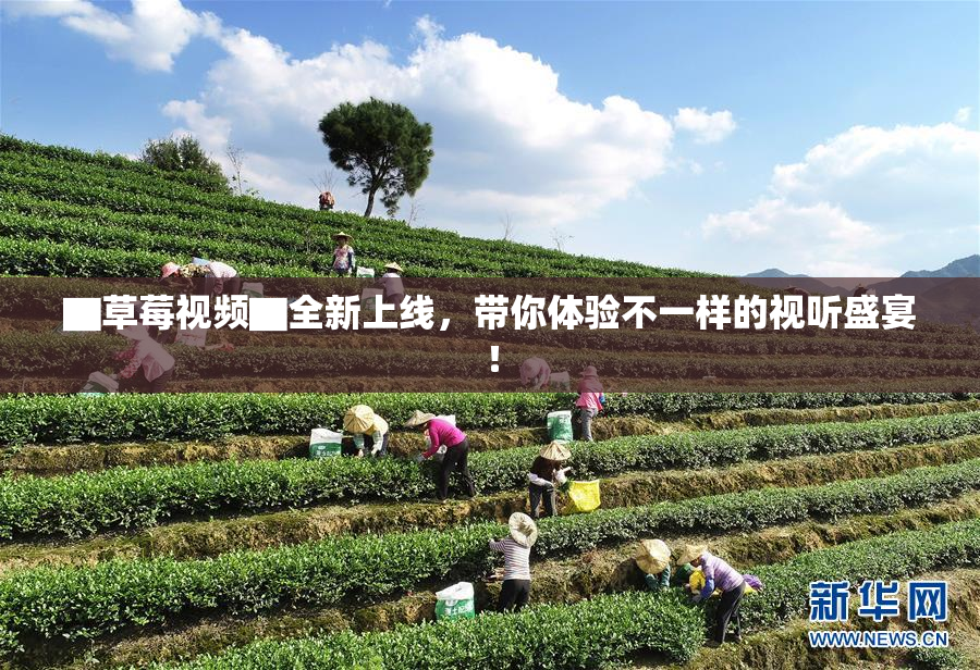 ▇草莓视频▇全新上线，带你体验不一样的视听盛宴！