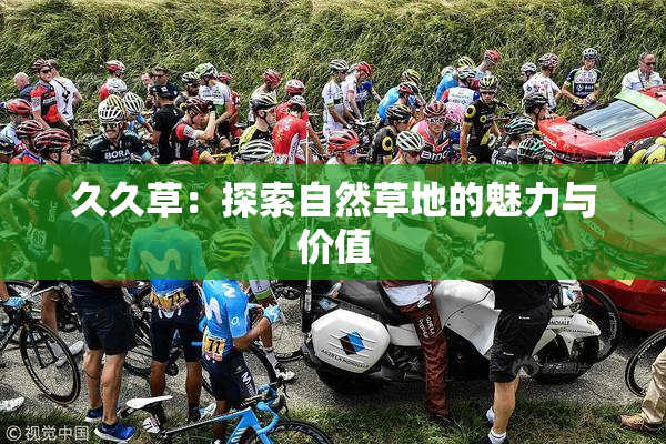 久久草：探索自然草地的魅力与价值
