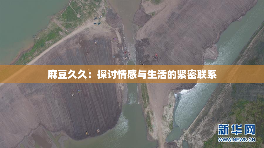 麻豆久久：探讨情感与生活的紧密联系