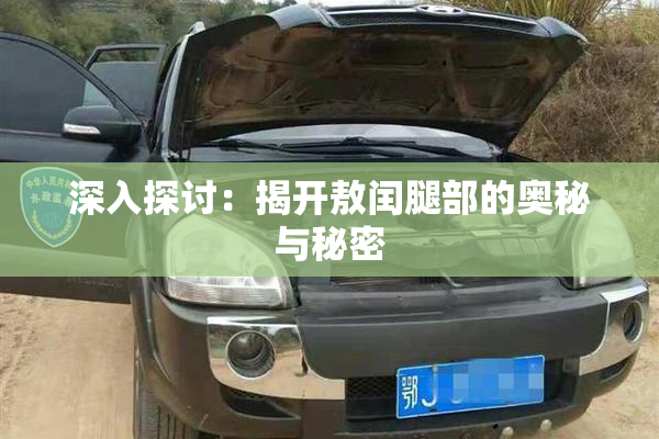 深入探讨：揭开敖闰腿部的奥秘与秘密