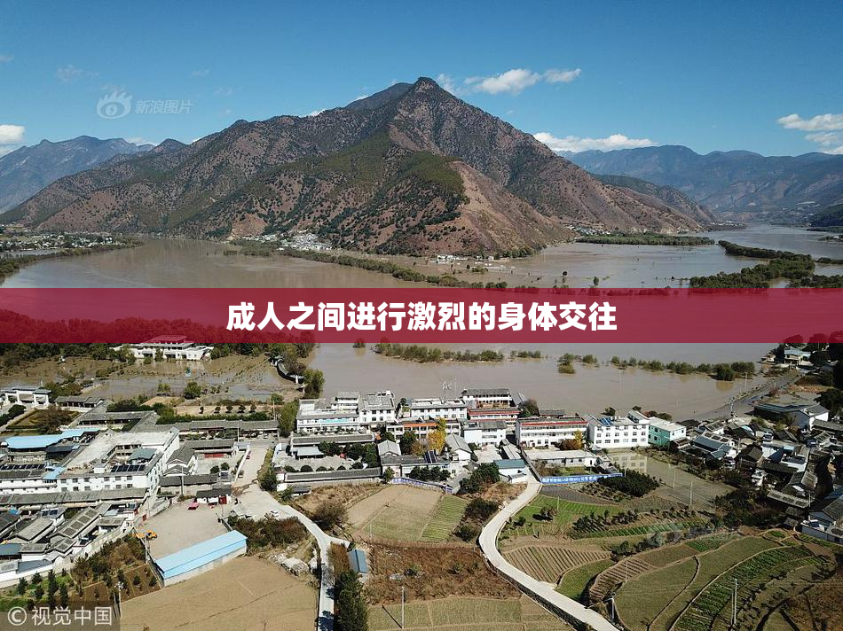 成人之间进行激烈的身体交往