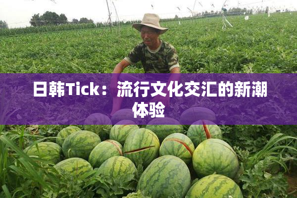 日韩Tick：流行文化交汇的新潮体验