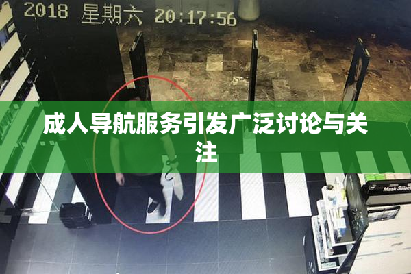 成人导航服务引发广泛讨论与关注