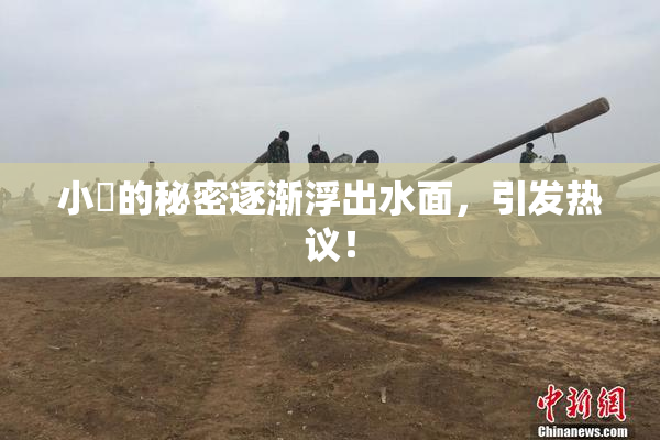 小泬的秘密逐渐浮出水面，引发热议！