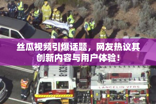 丝瓜视频引爆话题，网友热议其创新内容与用户体验！