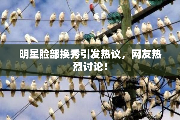 明星脸部换秀引发热议，网友热烈讨论！