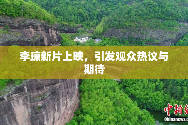 李琼新片上映，引发观众热议与期待