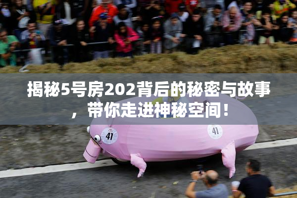 揭秘5号房202背后的秘密与故事，带你走进神秘空间！