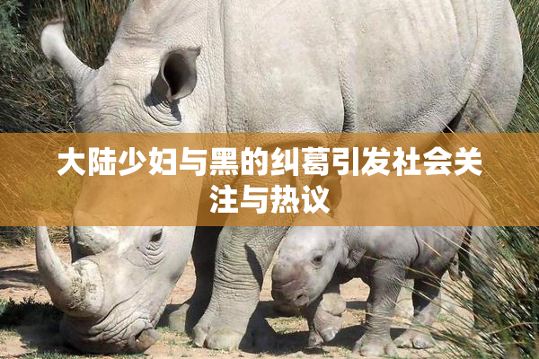 大陆少妇与黑的纠葛引发社会关注与热议
