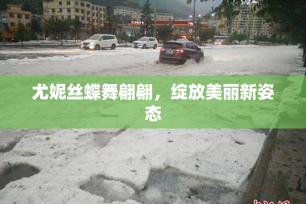 尤妮丝蝶舞翩翩，绽放美丽新姿态