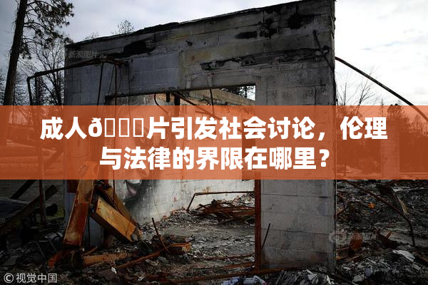 成人🔞片引发社会讨论，伦理与法律的界限在哪里？