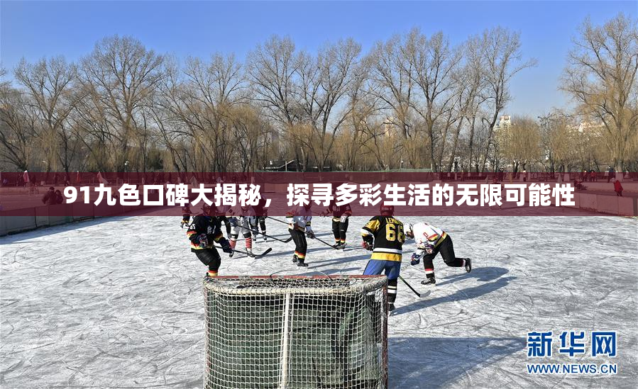 91九色口碑大揭秘，探寻多彩生活的无限可能性