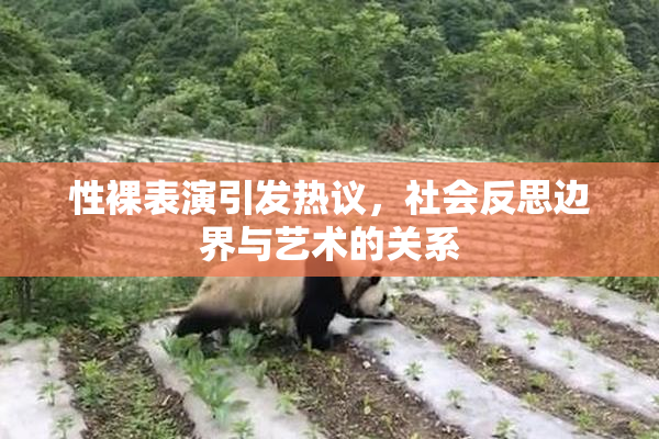 性裸表演引发热议，社会反思边界与艺术的关系