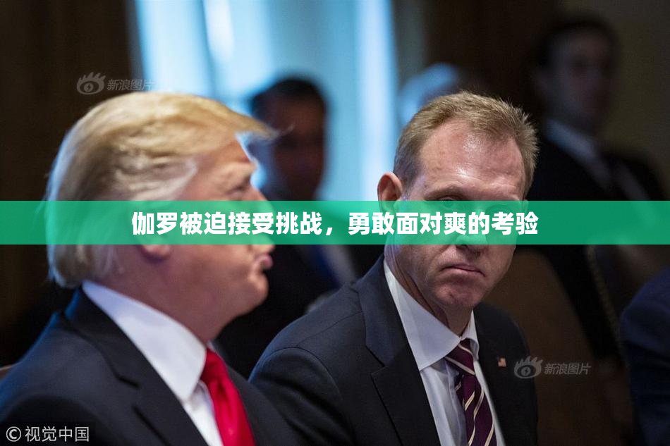 伽罗被迫接受挑战，勇敢面对爽的考验