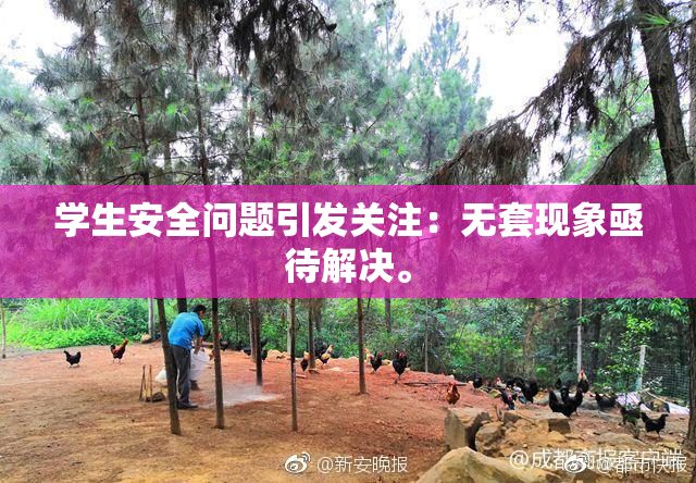 学生安全问题引发关注：无套现象亟待解决。