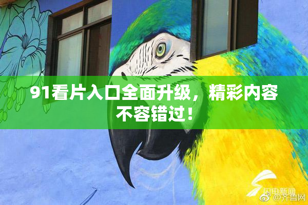 91看片入口全面升级，精彩内容不容错过！