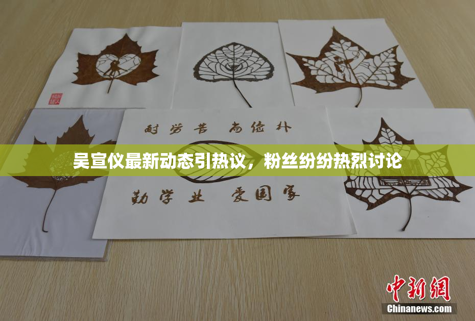 吴宣仪最新动态引热议，粉丝纷纷热烈讨论