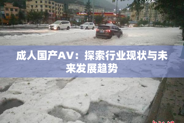 成人国产AV：探索行业现状与未来发展趋势