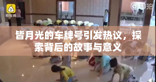 皆月光的车牌号引发热议，探索背后的故事与意义