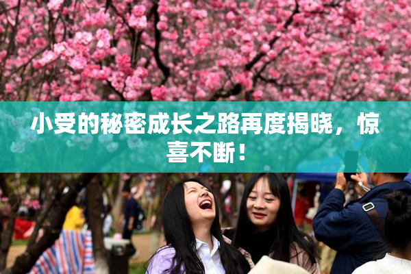 小受的秘密成长之路再度揭晓，惊喜不断！