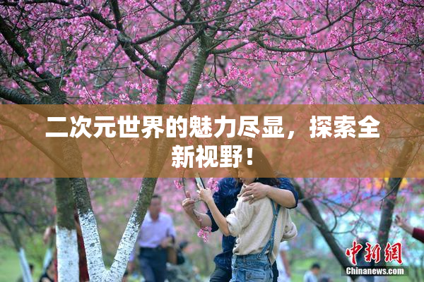 二次元世界的魅力尽显，探索全新视野！