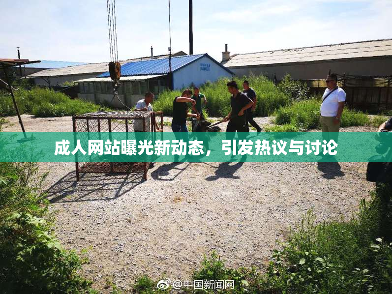 成人网站曝光新动态，引发热议与讨论