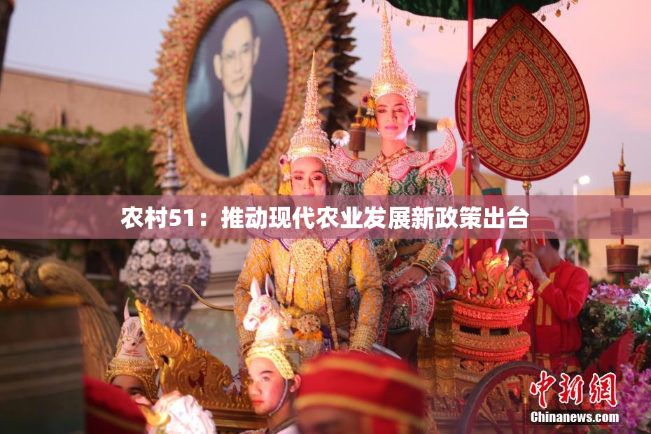 农村51：推动现代农业发展新政策出台