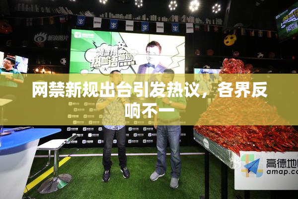 网禁新规出台引发热议，各界反响不一