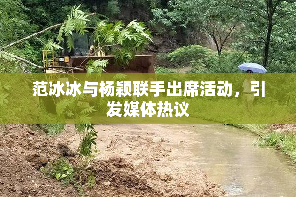 范冰冰与杨颖联手出席活动，引发媒体热议