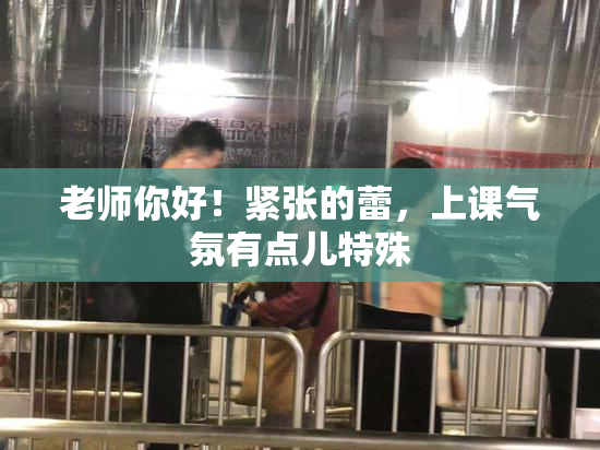 老师你好！紧张的蕾，上课气氛有点儿特殊