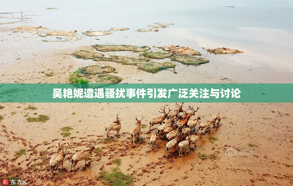 吴艳妮遭遇骚扰事件引发广泛关注与讨论
