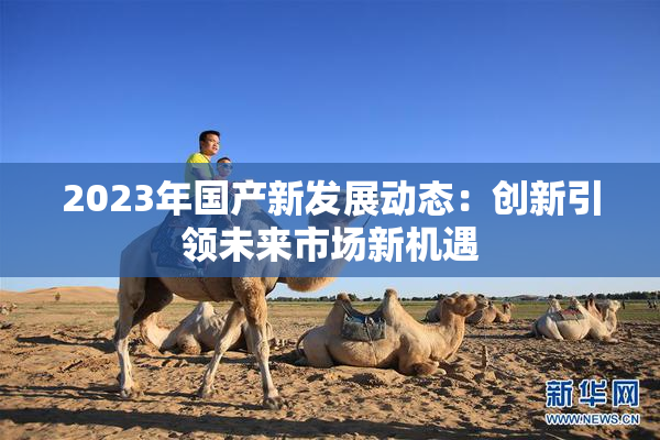2023年国产新发展动态：创新引领未来市场新机遇