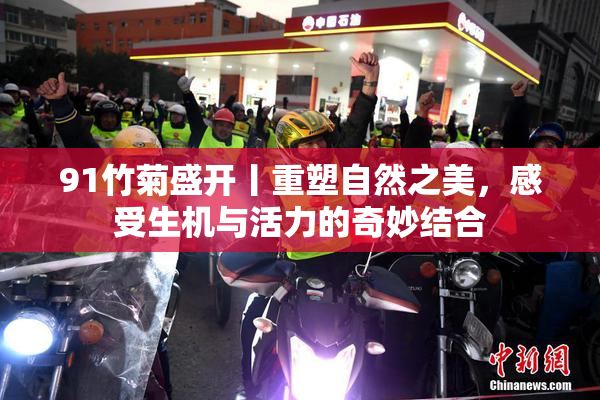91竹菊盛开丨重塑自然之美，感受生机与活力的奇妙结合
