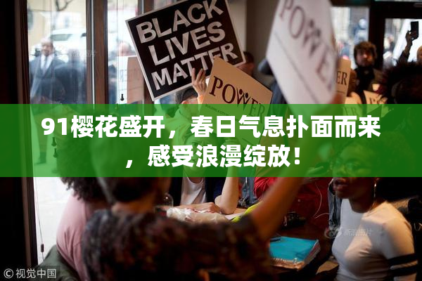 91樱花盛开，春日气息扑面而来，感受浪漫绽放！