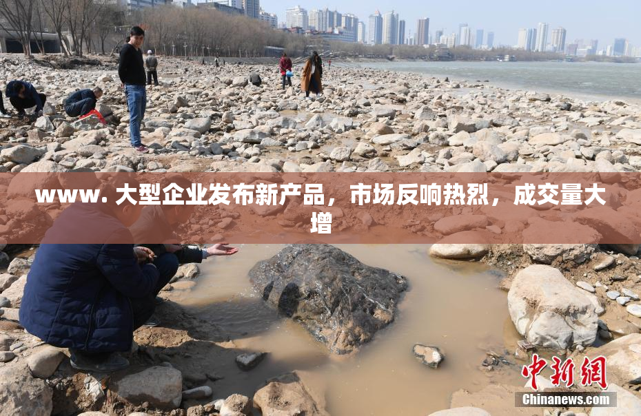 www. 大型企业发布新产品，市场反响热烈，成交量大增