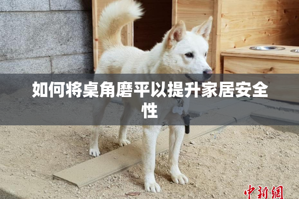 如何将桌角磨平以提升家居安全性