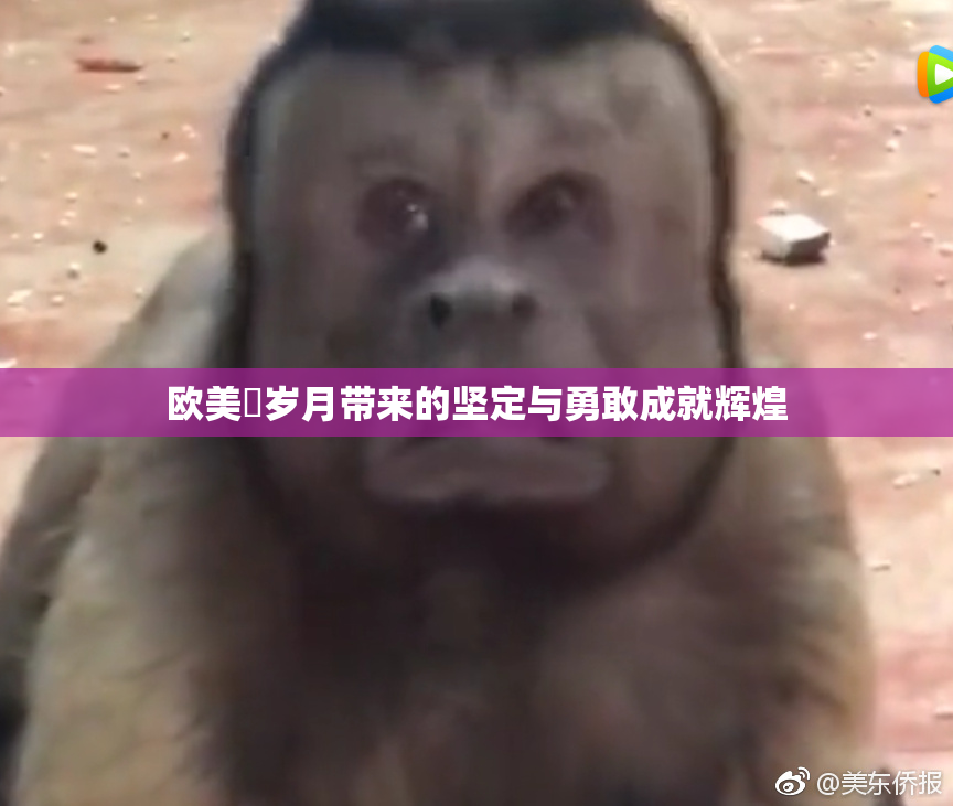 欧美巜岁月带来的坚定与勇敢成就辉煌