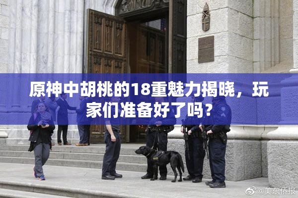 原神中胡桃的18重魅力揭晓，玩家们准备好了吗？